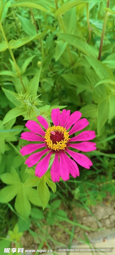 

7075 Aluminum Alloy Rear Brace & Wing Bracket for ARRMA 1/8 Kraton Notorious 6S BLX Metal Center Brace Mount+Wing Mount Bracket