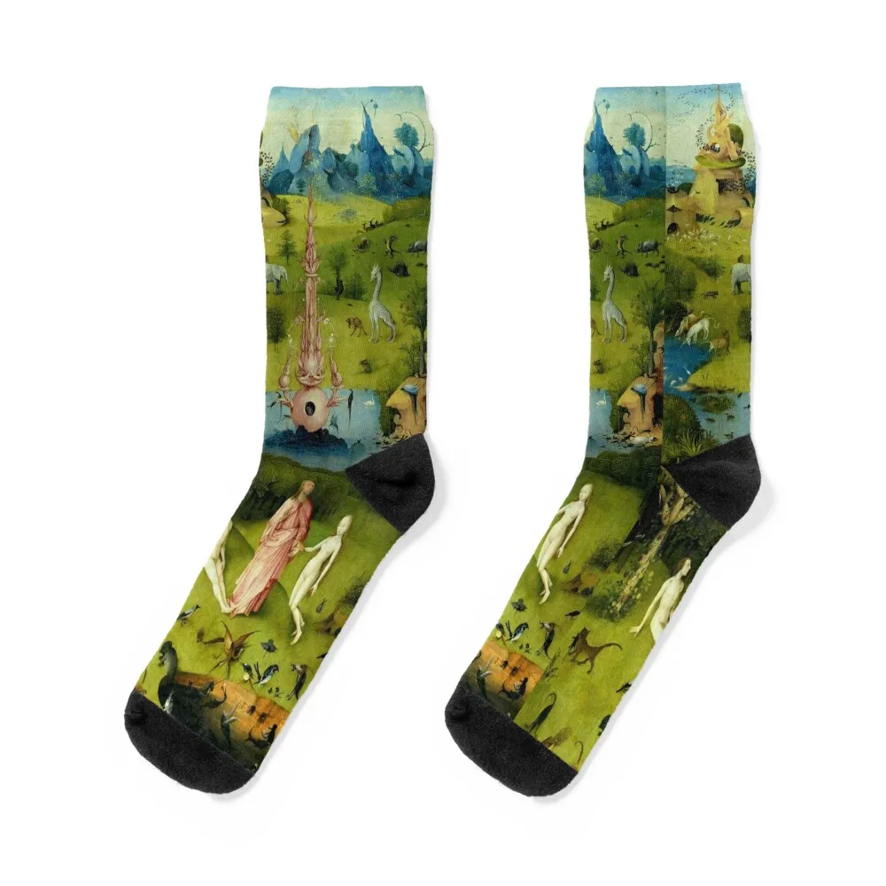 Hieronymus Bosch The Garden of Earthly Delights - The Heaven or The Creation Socks funny sock happy Women Socks Men's