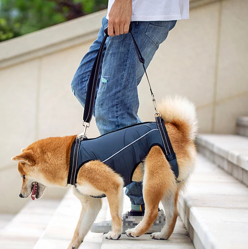 

Регулируемая шлейка для помощи при передвижении собак — ремень для поддержки бедер для пожилых собак с слабкостью задних ног, реабилитация для пожилых домашних животных