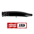 NSB119