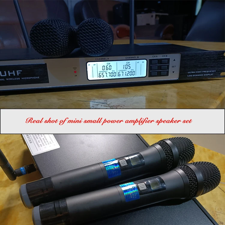LS680U Performance Microphone Wireless Microphone Microphone Outdoor Sound Card One For Two U-segment With Receiver FM Stage
