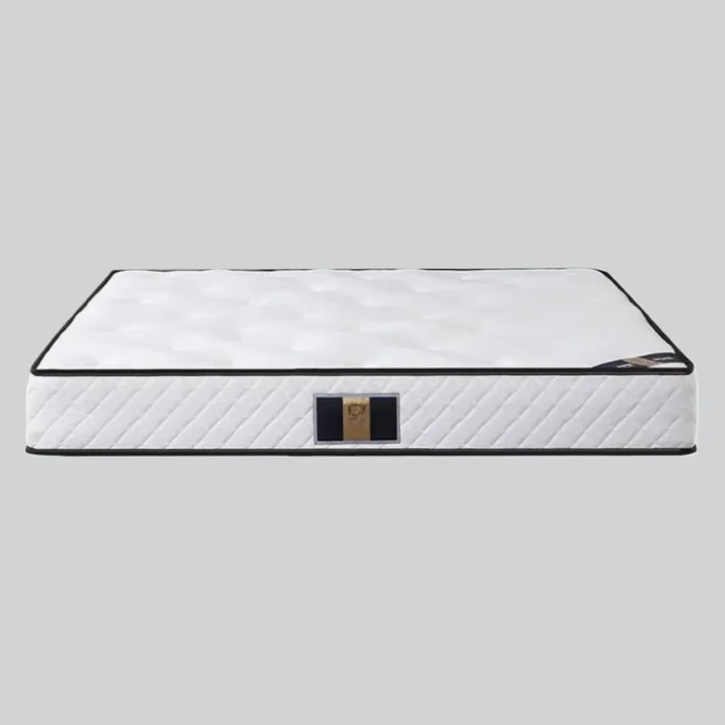 Queen Extension Bed Mattress Roll High Quality Firm Spring Salon Mattresses Thickness Double Colchon Matrimonial Furniture