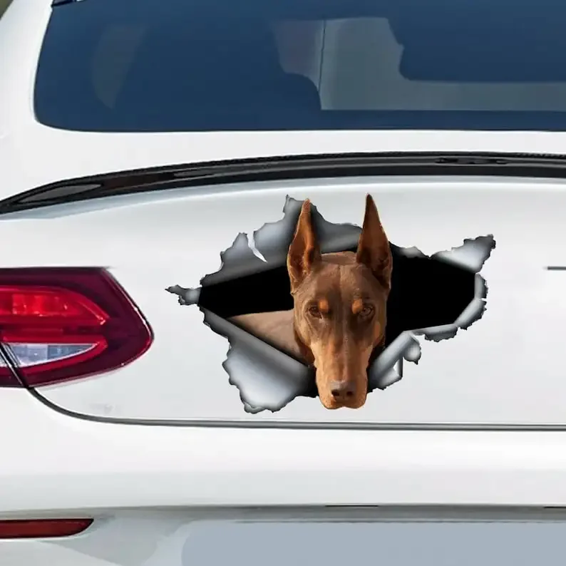 Red Dobbie car sticker, red doberman decal, Doberman magnet, dog sticker, car decoration