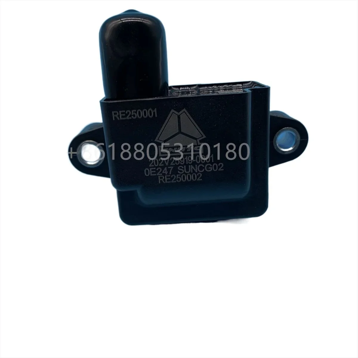 Zündspule für SITRAK MAN CNG-Motor 202V25919-0001 Kompatibel mit Verschiedenen Modellen - Zündmodul für Automobilanwendungen – Detail 8
