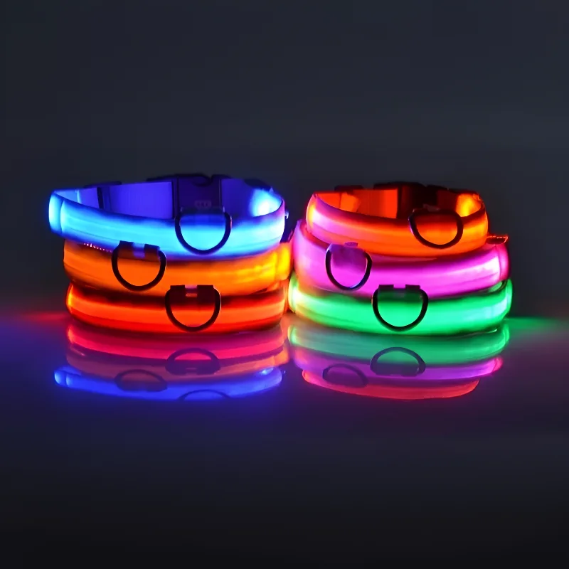 Collier de chien en nylon à LED, sécurité nocturne, clignotant, lueur dans le noir, laisse pour animal de compagnie, chiens, Shoous Fluorescent, accessoires pour chiens