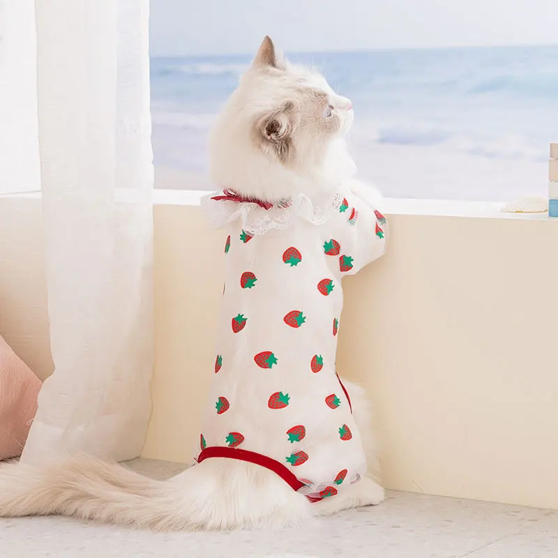 2Pcs Spring/Summer Mesh Hollow Cat Clothes, Thin Breathable Four-Legged Belly Wrap Pet Clothing, Anti-Shedding Home Wear C089