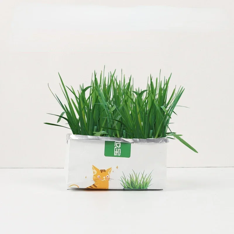 1pc Cat Grass Planting Box Growing Tray Starter Dish Greenhouse Hydroponics Plant Cat Grass Germination Nursery Pet Cat Supplies