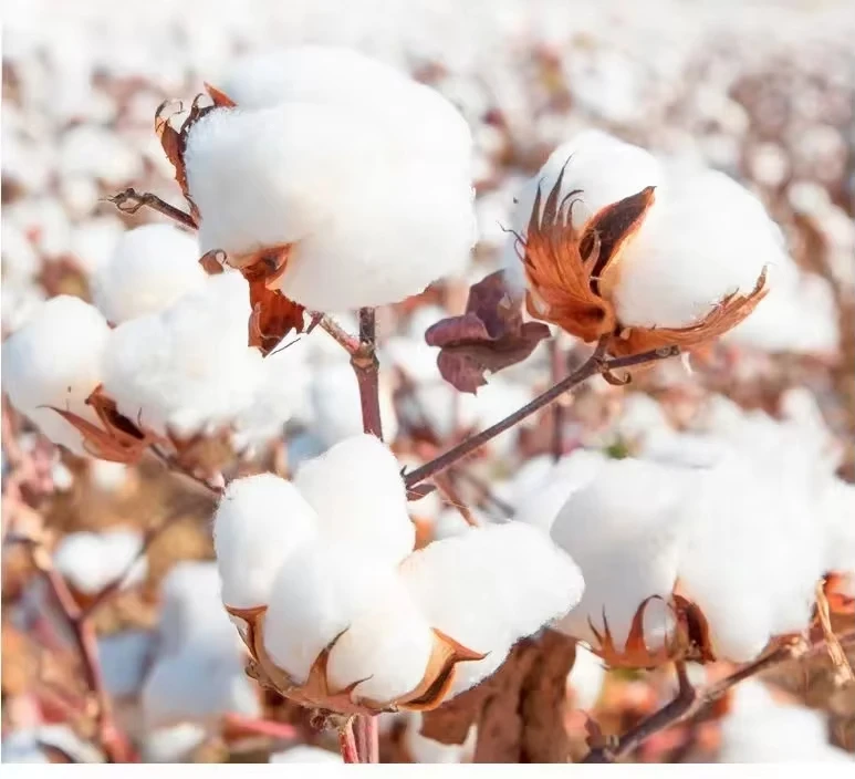 Couverture de bande dessinée Captain America et Falcon autorisée par Marvel, T-shirt imprimé en pur coton pour hommes et femmes, articles de super-héros