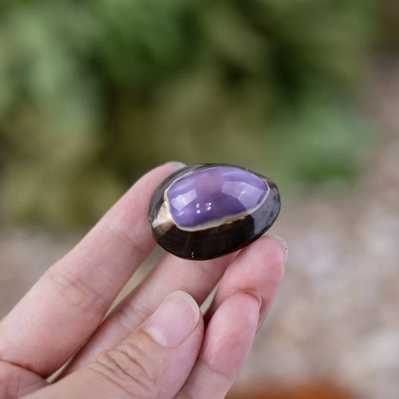 New 5pcs Natural Conch Shell Purple Heart Snail Popular Science Home DIY Photo Frame Decoration Fish Tank Ornaments