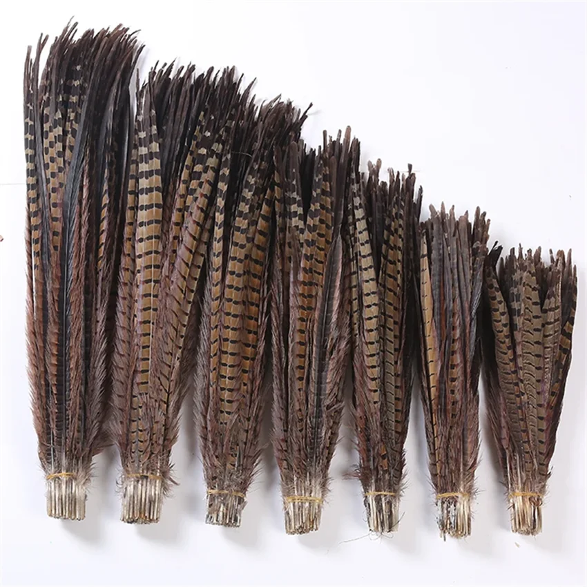 100PCS Ringneck Pheasant Feathers Real Natural Lady Amherst Pheasant Tails Feather Plumes DIY Carnival Party Decorations 60-65CM