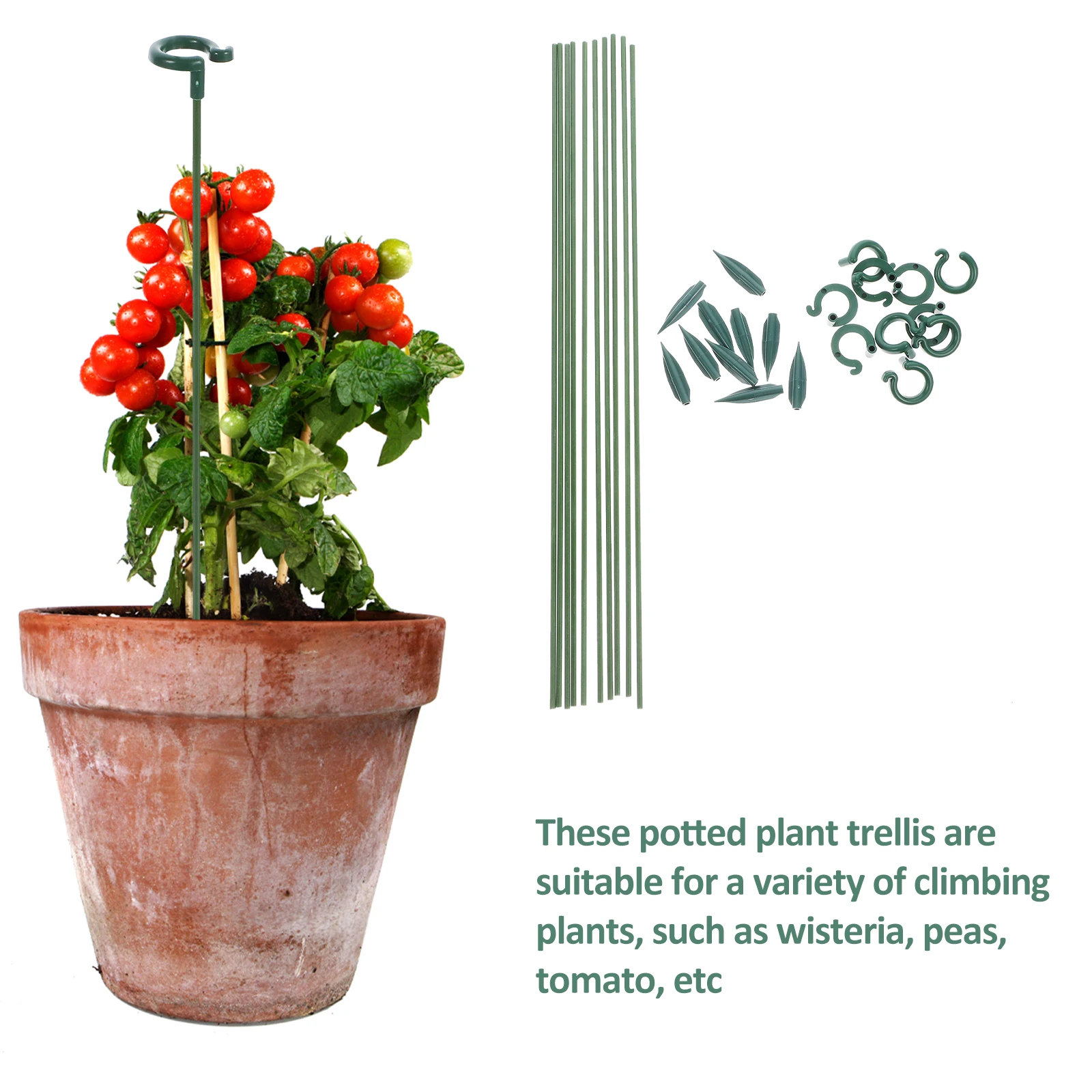 

10pcs Growth Stakes Single Stem Flower Rods Potted Plant Support Rack Garden Plant Support Stakes Flower Pot Climbing Trellis