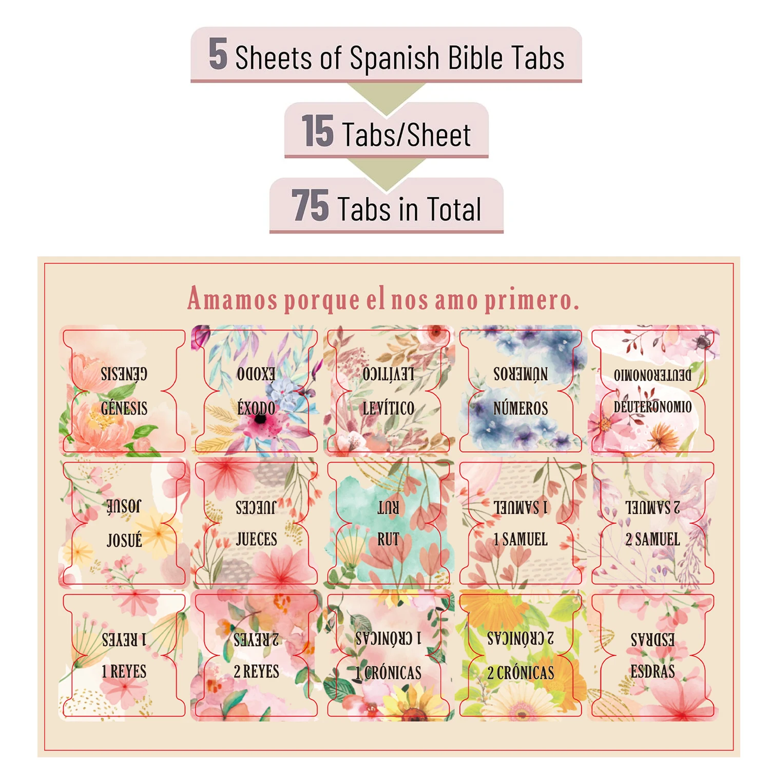 75pcs Floral Spanish Bible Tags - Laminated, Large Print Neutral Bible Tabs,Easy-To-Read Sticker Tags