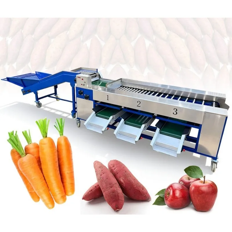 Automatic Onion Grader Fruit Grade Machine