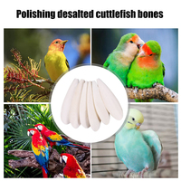 Cuttlebone Parrot Chew Toys Natural Bird Food Pick Stone Molars Chewing Toys for Parakeets Cockatiel Macaw Parrot