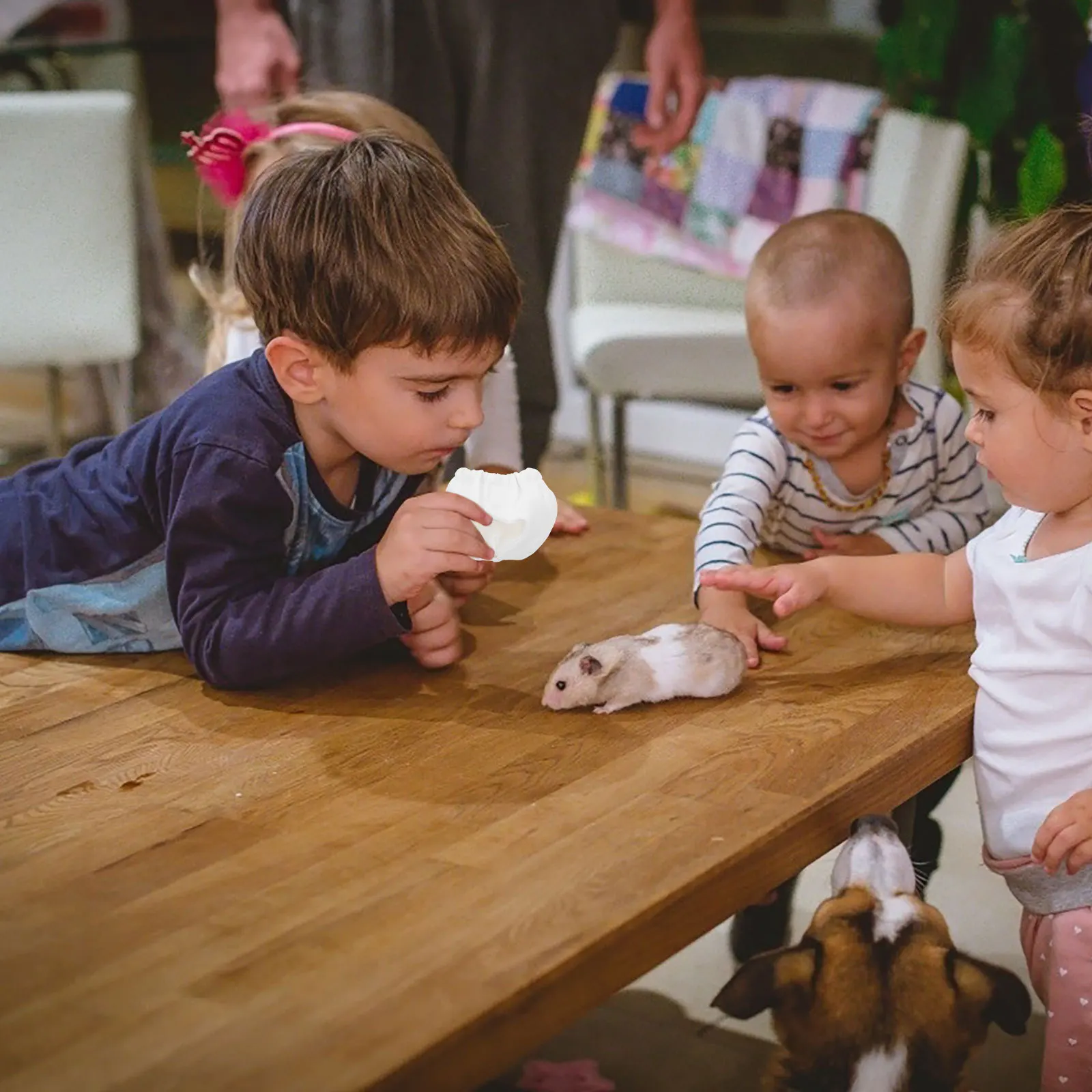 

Small Pet Diapers Washable 10-16Cm Waistline Quick Dry Reusable Hamster Nappy Squirrel Underwear Potty Training Comfort