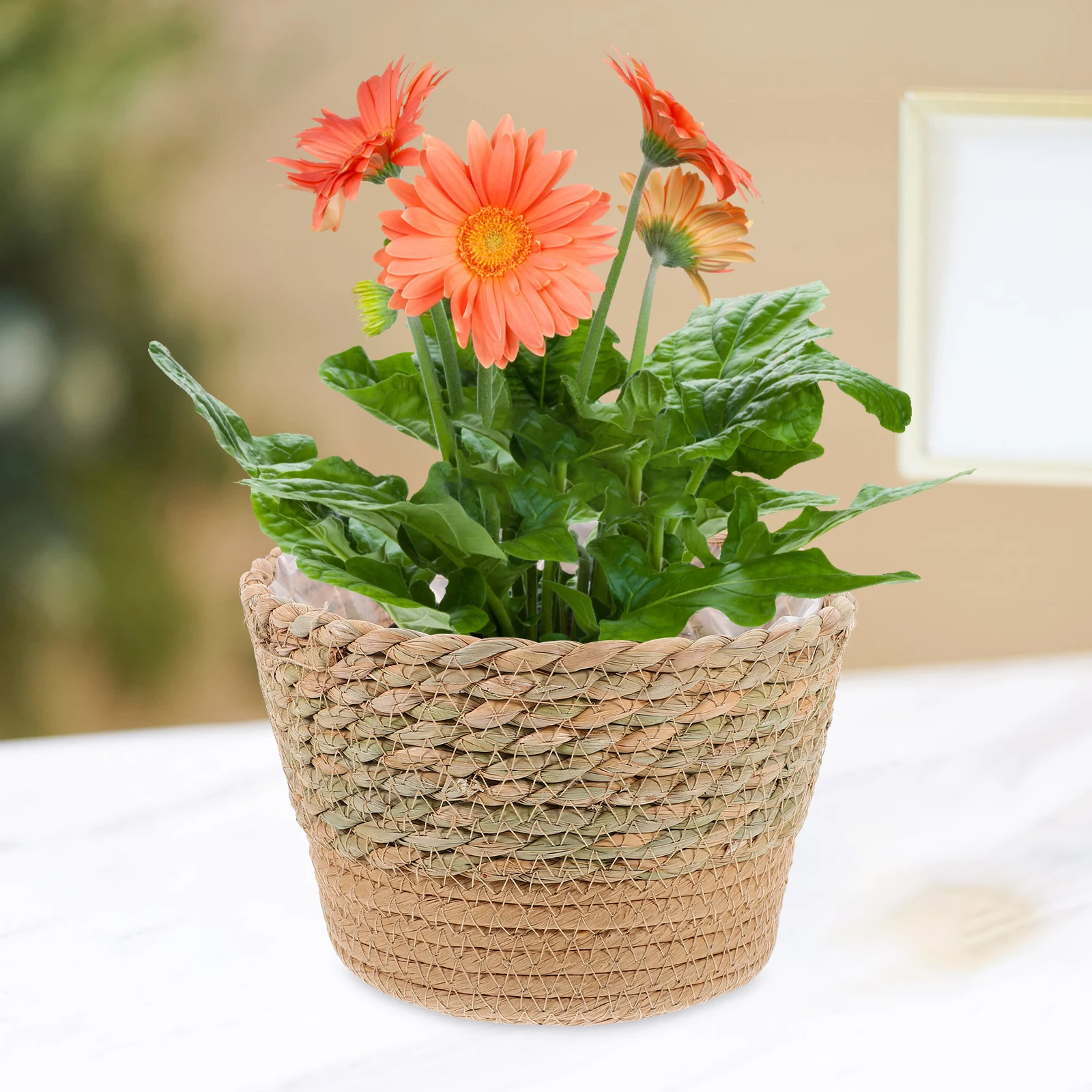 1 قطعة سلة للزهور المنسوجة من القش للنباتات الداخلية سلة زراعة منسوجة يدويًا سلال نباتات مزخرفة ديكور حديقة المنزل #2