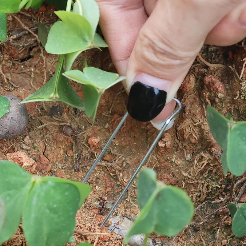 Thumbnail 3 - #16 Budget Straight Pins for Smart Shoppers