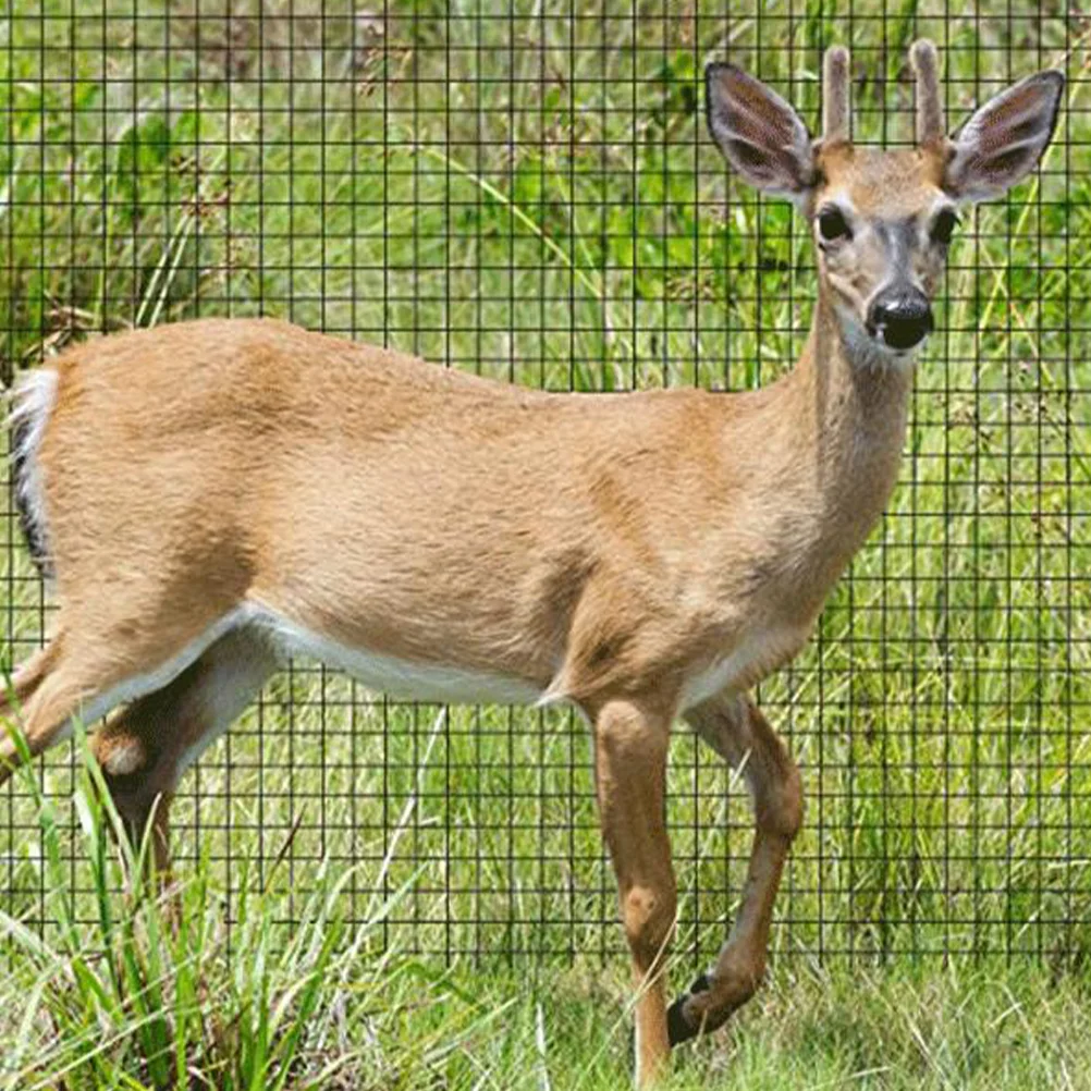 Anti-bird Garden Net Fence Wire Netting Mesh Fencing Rabbit Floral Chicken Frame for Livestock