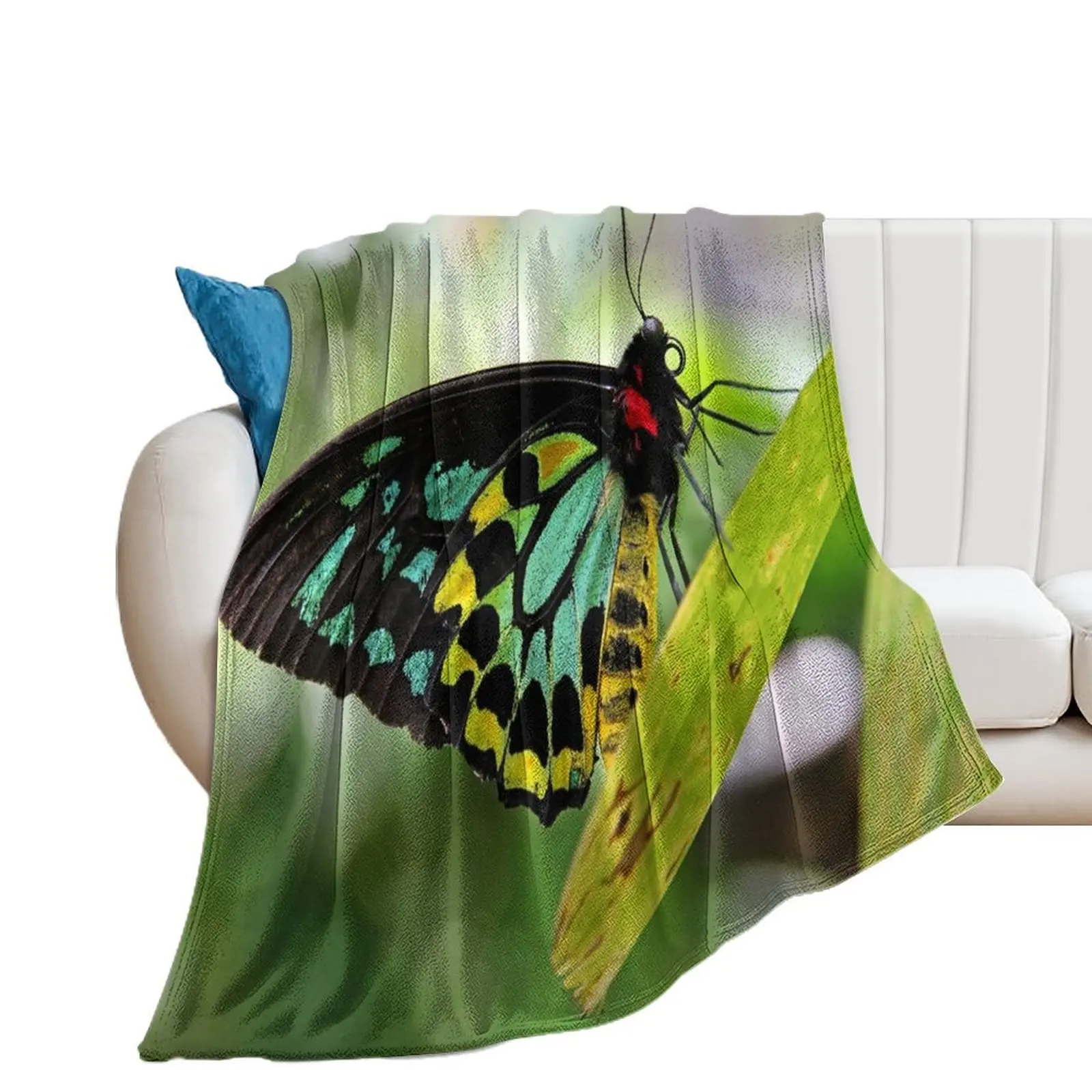 Cairns Birdwing Butterfly Throw Blanket Decorative Sofa For Sofa Thin cosplay anime Blankets