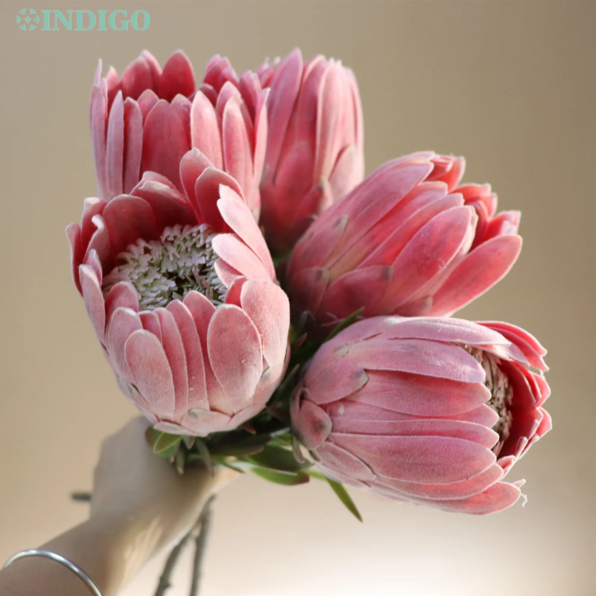 

5PCS Pink Protea Cynaroides Queen 56CM Bud Head Artificial Flower Wedding Party Event Office Shopwindow Home Decoration - INDIGO