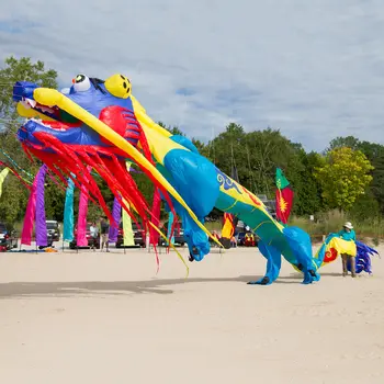 9公里15米龍形風箏線洗衣吊墜軟充氣表演風箏,適用於風箏節,採用防撕裂尼龍布料,附收納袋 10 最佳銷售 龍風箏 - №3