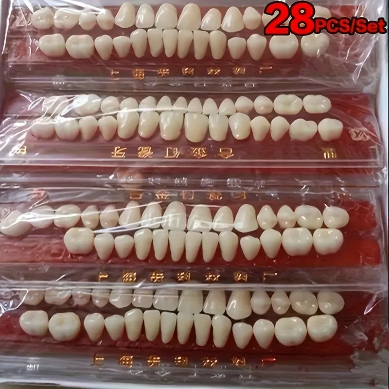 

28 Multicolor Resin Teeth Set，Suitable for dental practice - Realistic Denture Model，