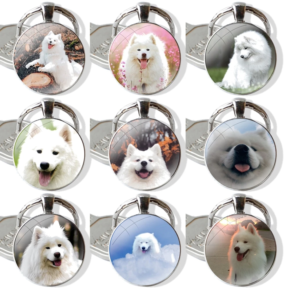 cute white Samoyed dog 25mm Glass Cabohcon Keychain Key Rings for Women Men Jewelry Gift