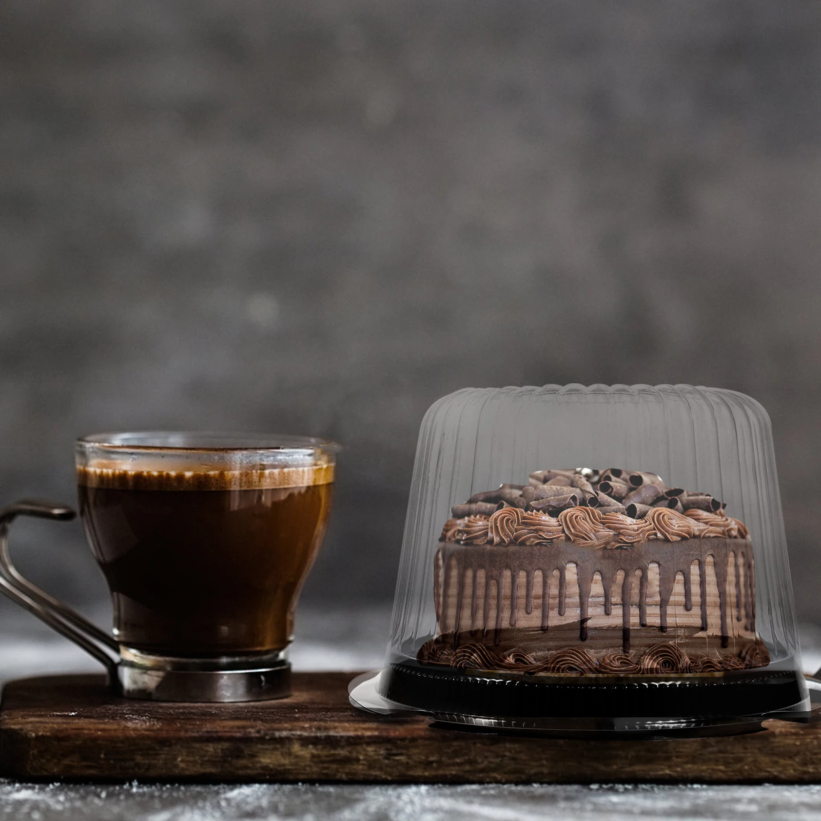 

10 Pcs Cake Cheese Storage Box Carrier Dessert Containers with Lids for Cheesecake Carriers Plastic Boxes Tray Transport