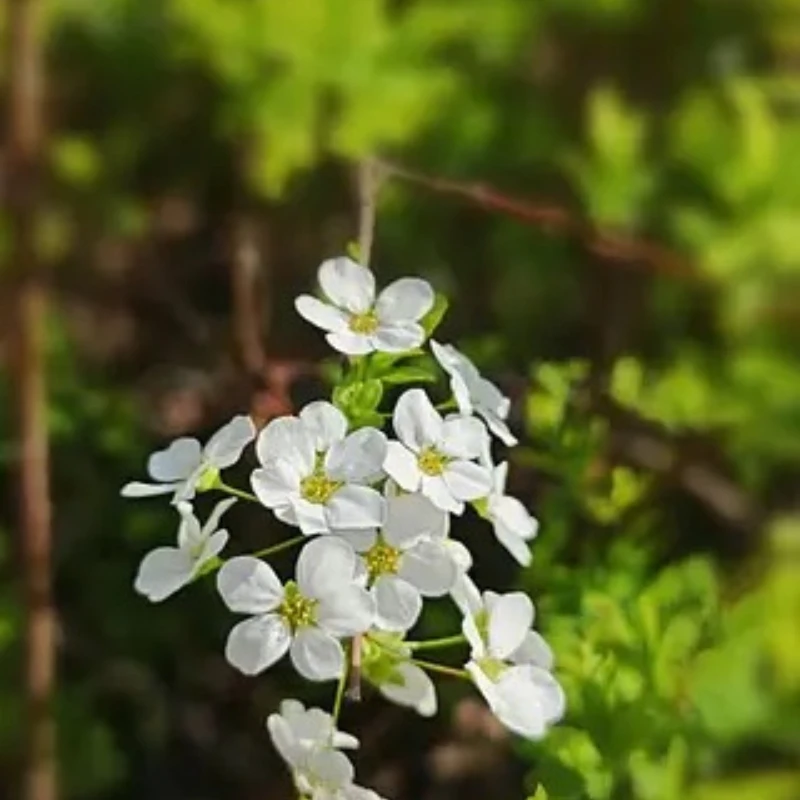 Geprc GEP-TG Frame … - image