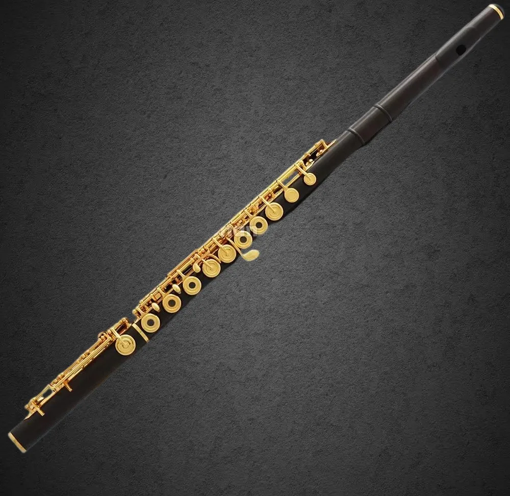 

Профессиональная флейта 2026 года, черная, деревянная, с позолотой, с B-диапазоном, G-диапазоном, новая26