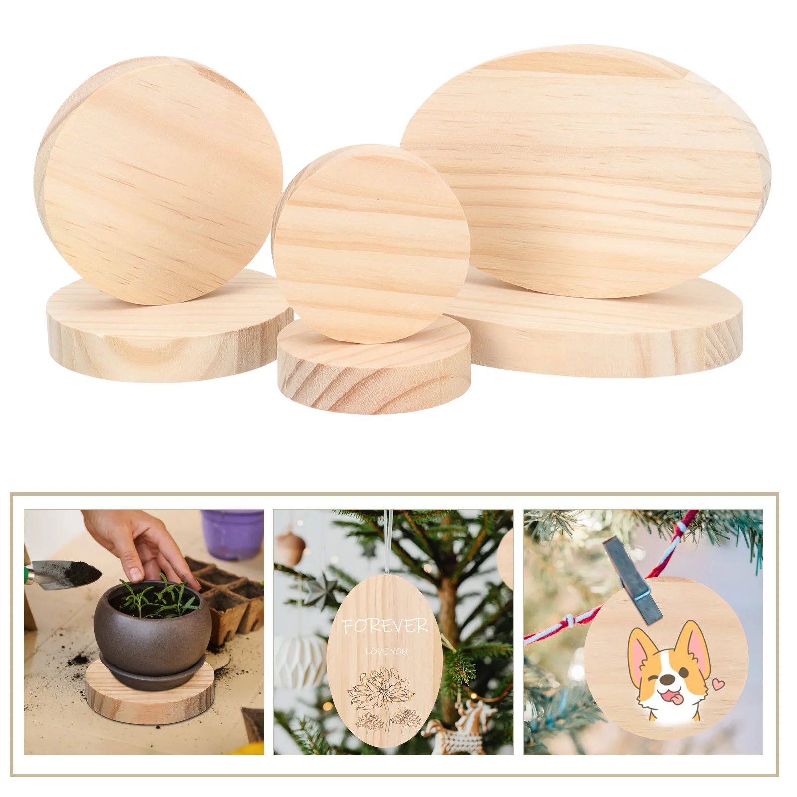 

6Pcs Premium Wooden Plaques Durable Thick Wood Bases Small Display Stands for Handicraft Sculpture Jewelry Succulent Pot Holders
