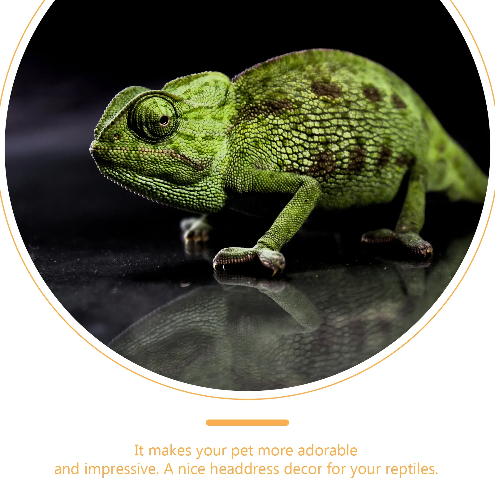 

8Pcs Pet Hat Handmade-Like Knitted Hats for Snake and Lizard Pets Holiday Costume Stylish Mini Wearable Decorative Accessory