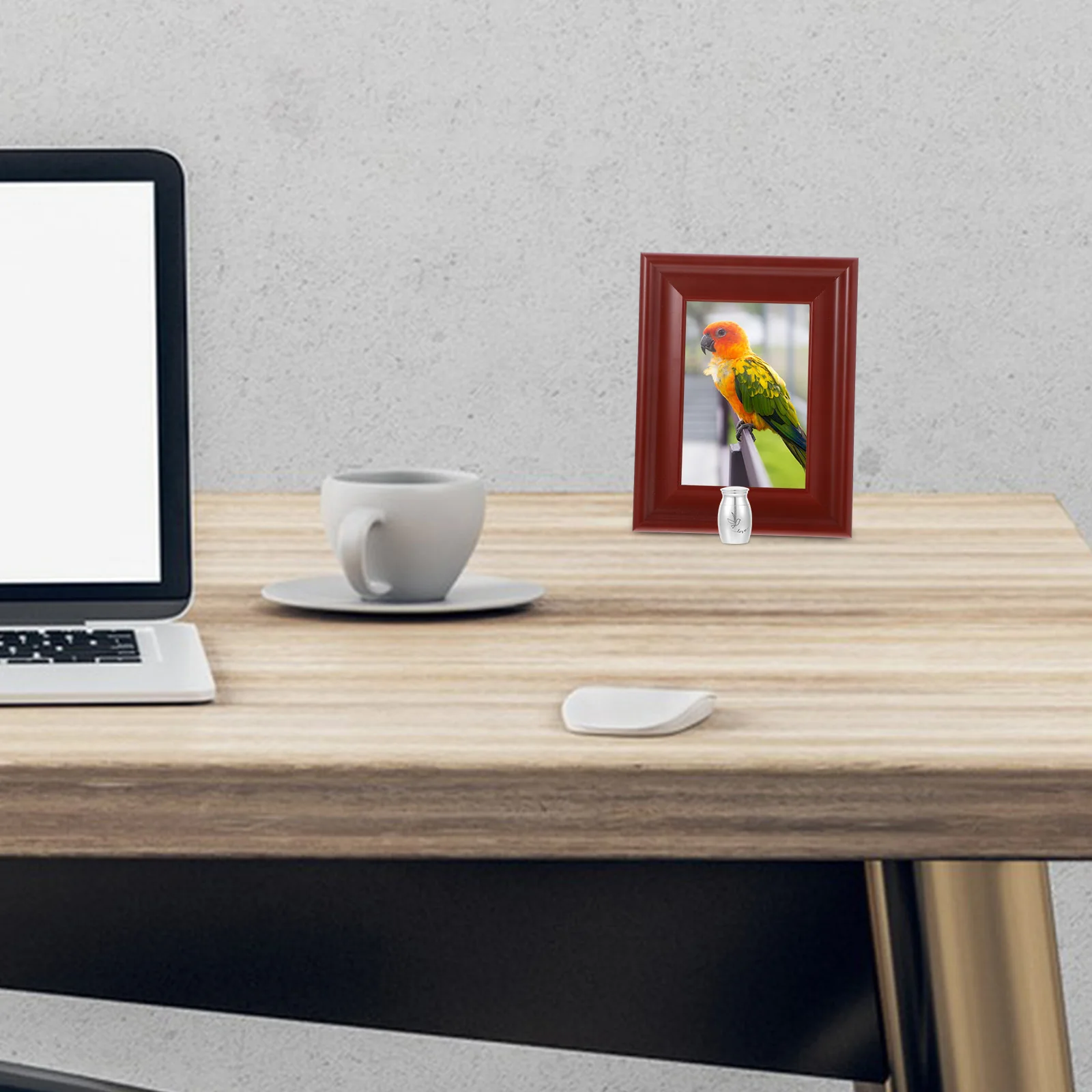 

Mini Metal Pet Urn Small Bird Cremation Ashes Memorial Keepsake Stainless Steel Parrot Ashes Urn Pet Urns Urns for Parrot