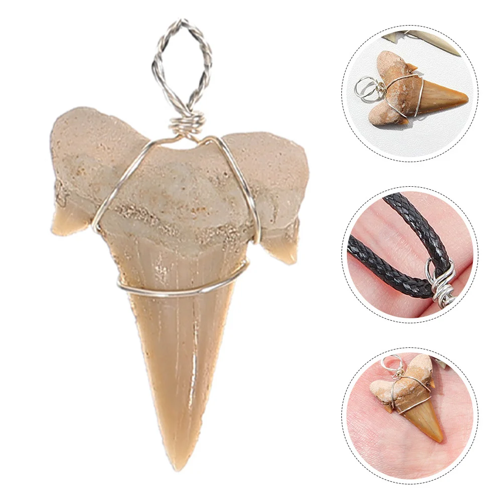 2 Pcs Shark Tooth Pendant Neck Jewelry Mens Necklace Charm Charms Ammonites Commemorate Decor for