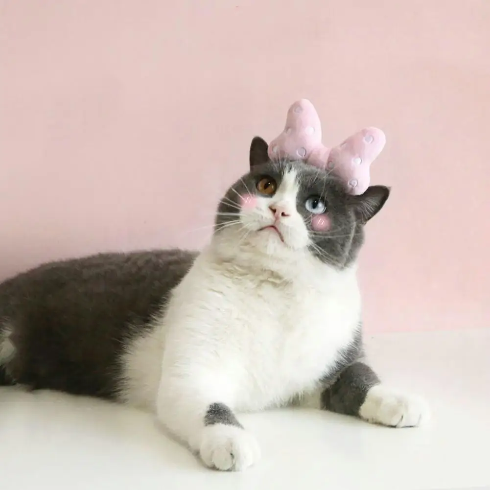 Decorative Smooth Edge One Size Pet Headgear Pet Gift Dog Headband Decorative Smooth Edge One Size Pet Headgear Pet Gift