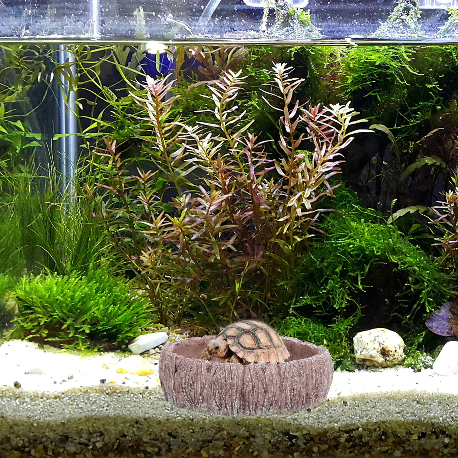 

Reptile Food Water Dish Resin Turtle Feeding Bowl For Bearded Dragon Leopard Gecko Tortoise Lizard Frog Snake Crawler Pet