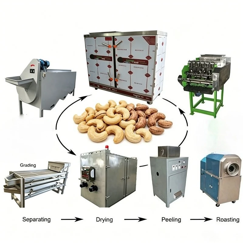 Small Cashew Production Line with Automatic Shelling Peeling and Drying Oven for Commercial White Cashew Kernels Customized