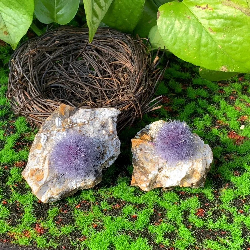 Artificial Purple Fuzzy Zeolite Ball on Matrix Natural Mineral Crystal Cluster Spiritual Decor Healing Stone for Meditation