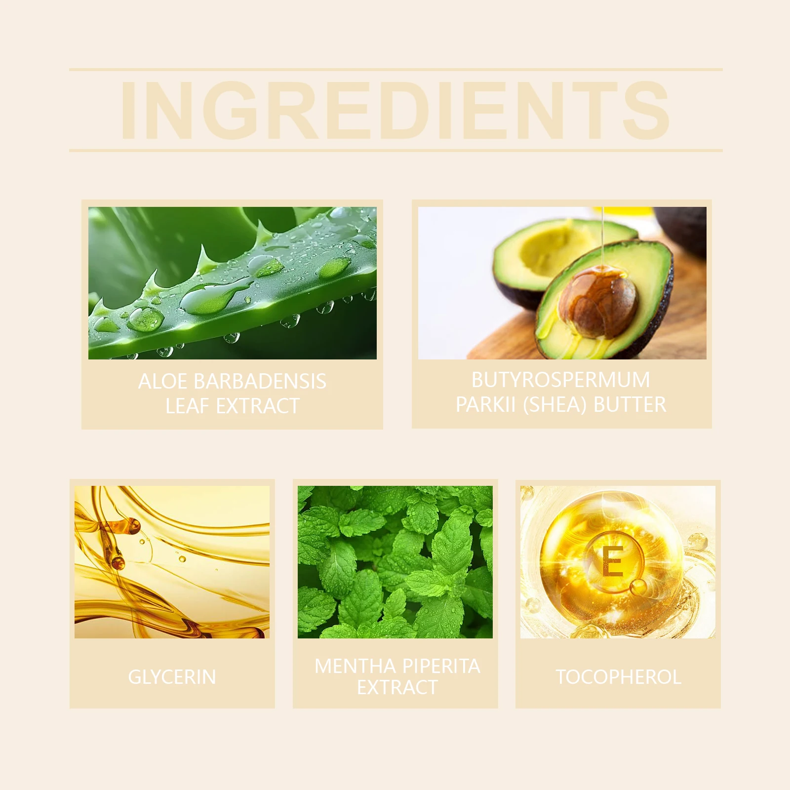 WEST MONTH 50g apprêt hydratant hydratant en profondeur apaise la peau améliore le teint inégal éclaircit uniformément le teint de la peau