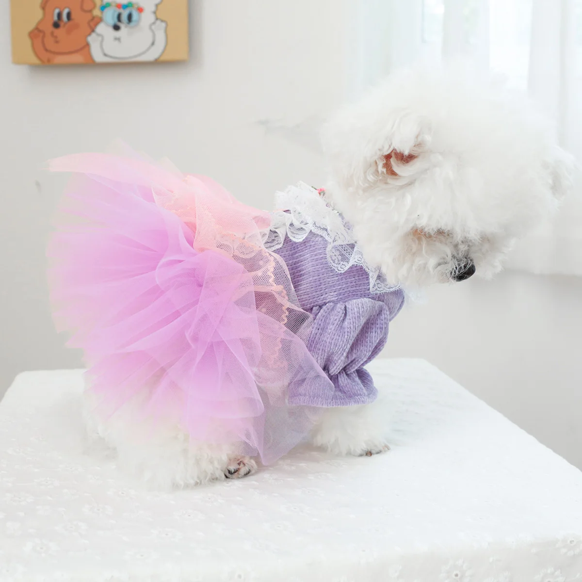 1PC Pet Clothing Spring and Autumn Purple Pepe Princess Wedding Dress Princess Dress Suitable for Small and Medium sized Dogs