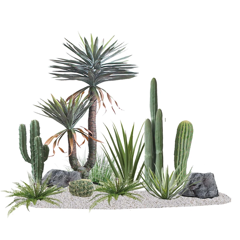 

Green plant cactus potted plant