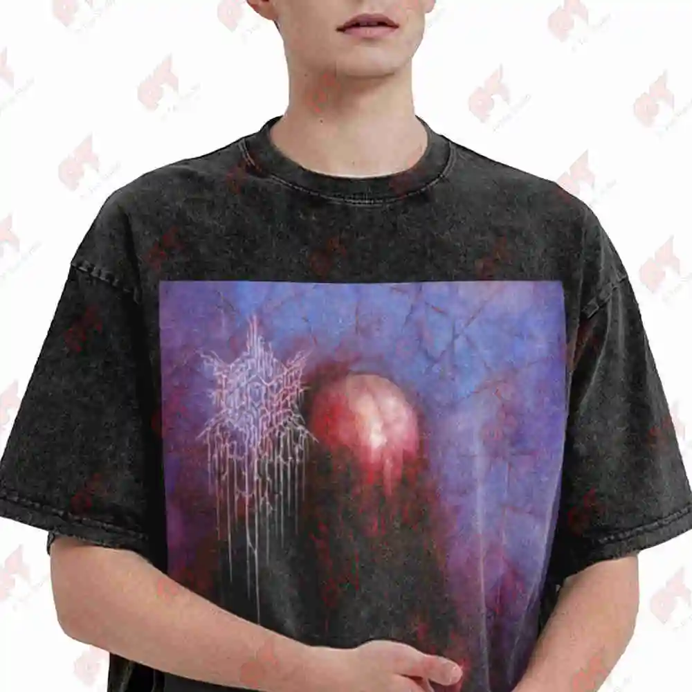 Psycho Frame Band Vintage Washed Tee Pure Cotton T-Shirt