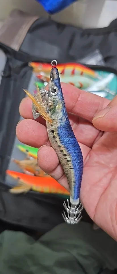 실물 포토 리뷰