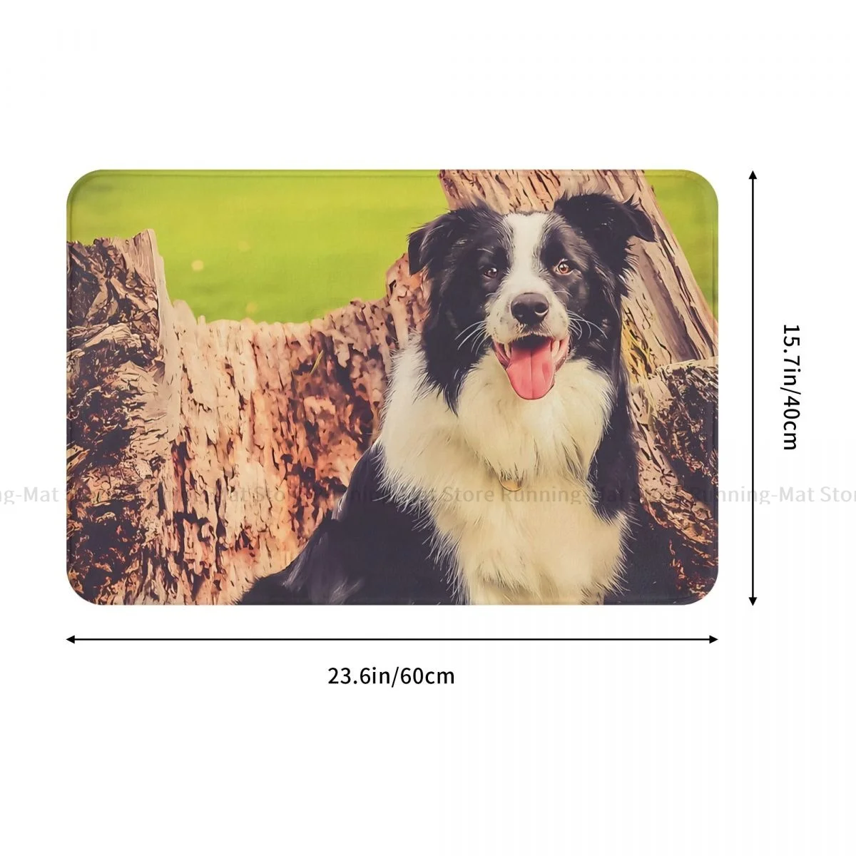 Border Collie Pet Dog Bathroom Mat Pepper Doormat Kitchen Carpet Outdoor Rug Home Decor