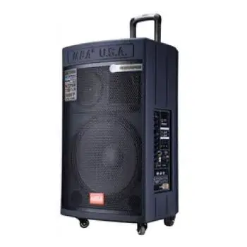 

15 Inch Cambodia New Design Big Power Wooden Outdoor Professional Active Trolley Stage Speaker