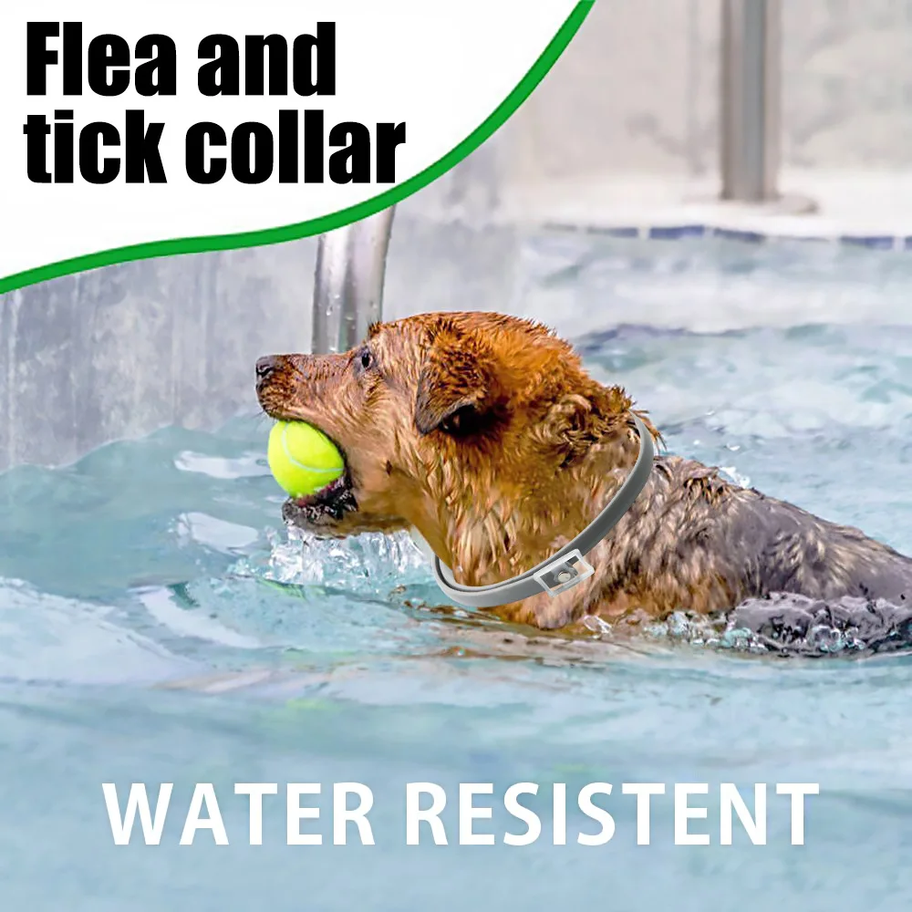 Professional 8 Month Protection Flea & Tick Collar Anti-mosquito Silicone Cat Insect Prevention Adjustable Pet Supplies Teddy