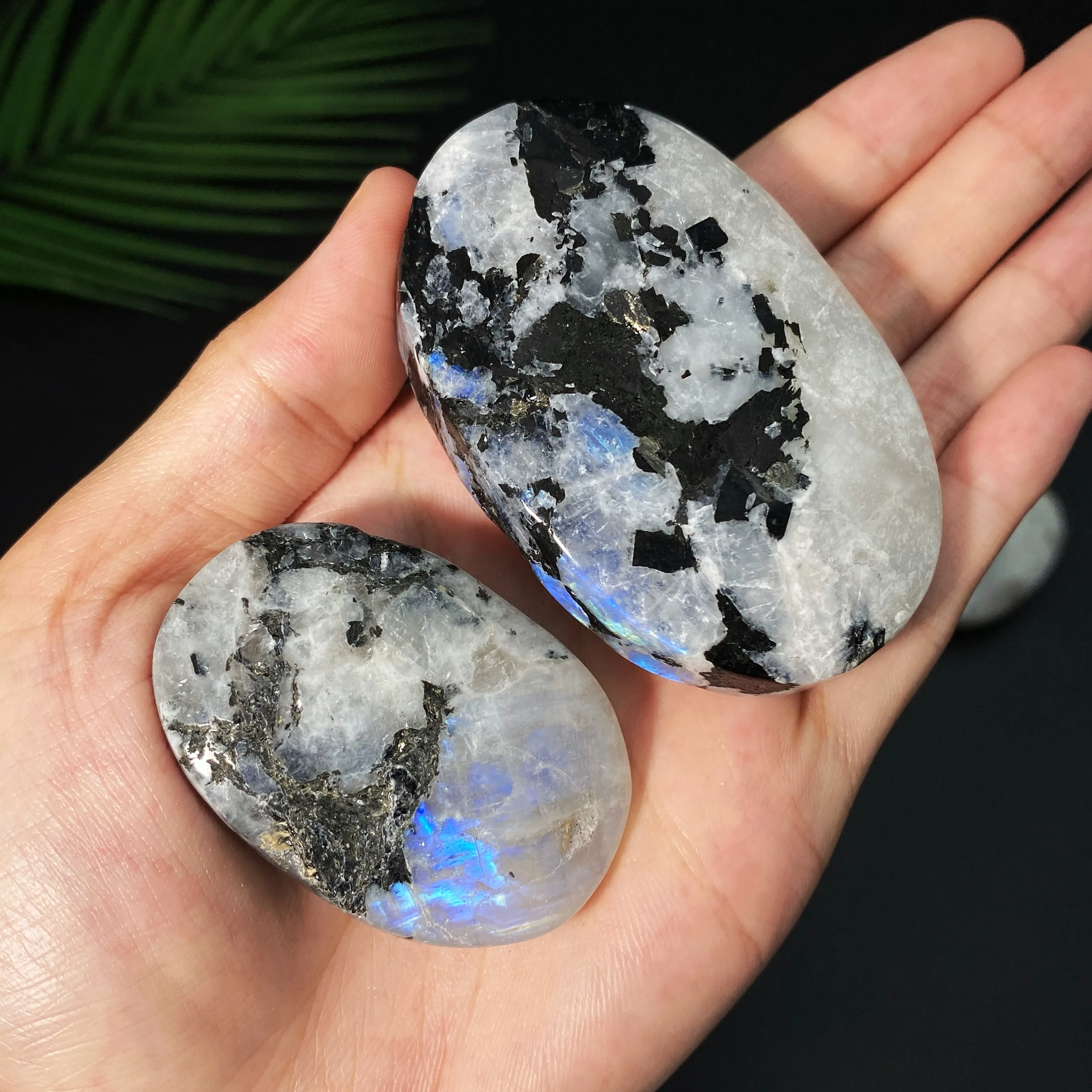 1 قطعة قوس قزح نادر حجر القمر حجر النخيل حجر القمر البيضاوي الكريستال الطبيعي الأحجار الكريمة الحقيقية ل FengShui شفاء التأمل ديكور المنزل