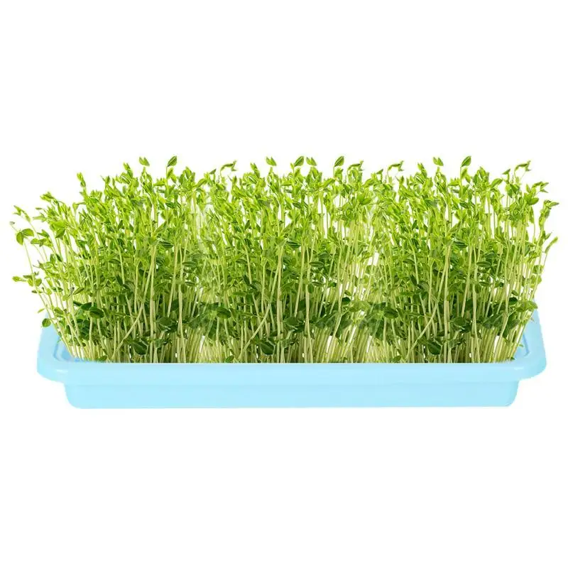 

Plants Nursery Tray Microgreens Growing Trays Seedling Starter Tray Large Capacity Wheatgrass Grower Microgreens & Nursery Tray