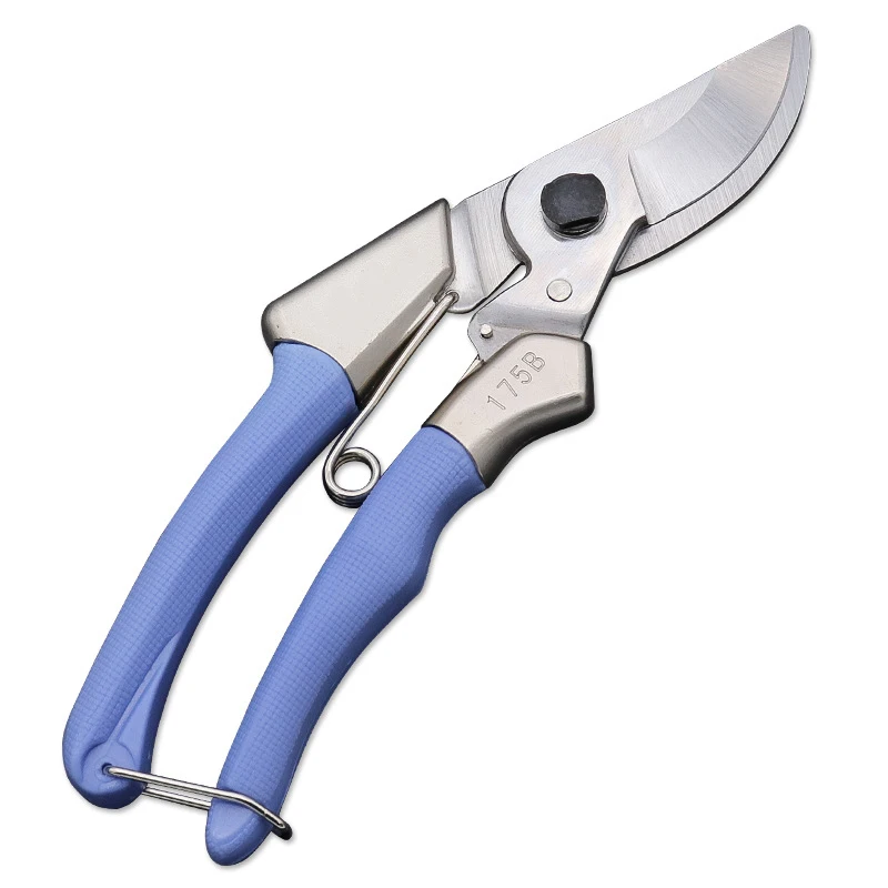 

Professional Bypass Pruning Shears Hand Garden Pruner with Steel Blade, Tail Lock, Plastic Handle, Cut Diameter 15mm,Blue Silver