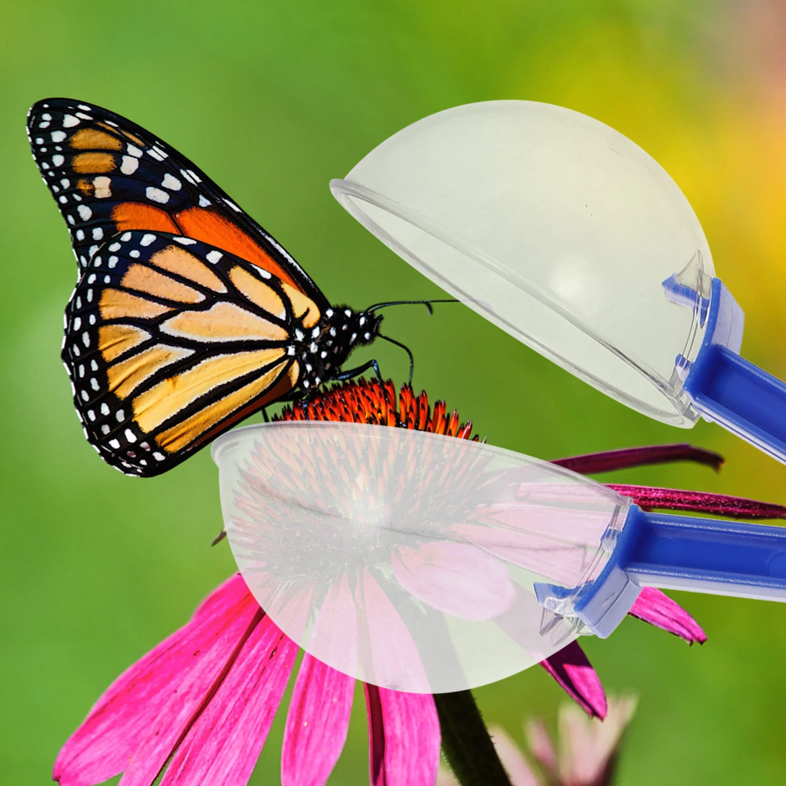 

8Pcs Insect Catch Clamp Creative Kids Outdoor Scissors Colorful Bug Catcher for Exploring Educational Insects